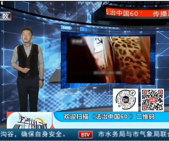 BTV《法治中国60分》 | 刘宏辉律师解读：“山西：后备箱发现一只金钱豹”